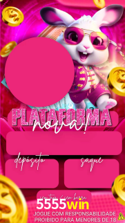 Interface Premium 5555win